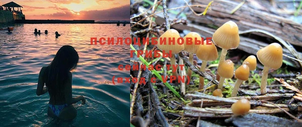 дживик Навашино