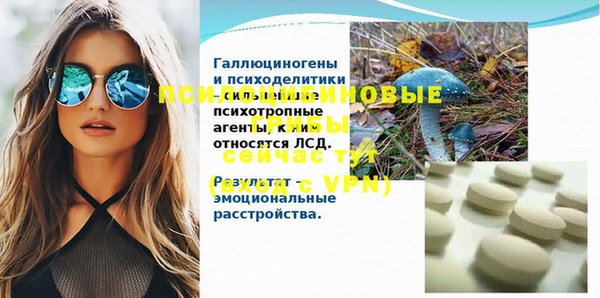дживик Навашино
