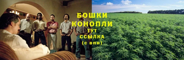 дживик Навашино