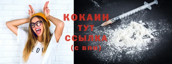 дживик Навашино