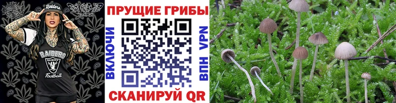 Купить где Железноводск Галлюциногенные грибы мухоморы